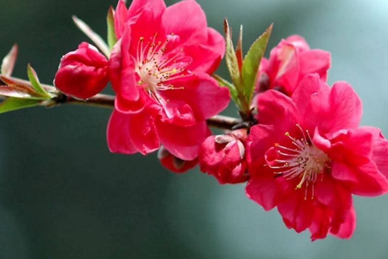 Bản tin thị trường ngày 22/02/2018