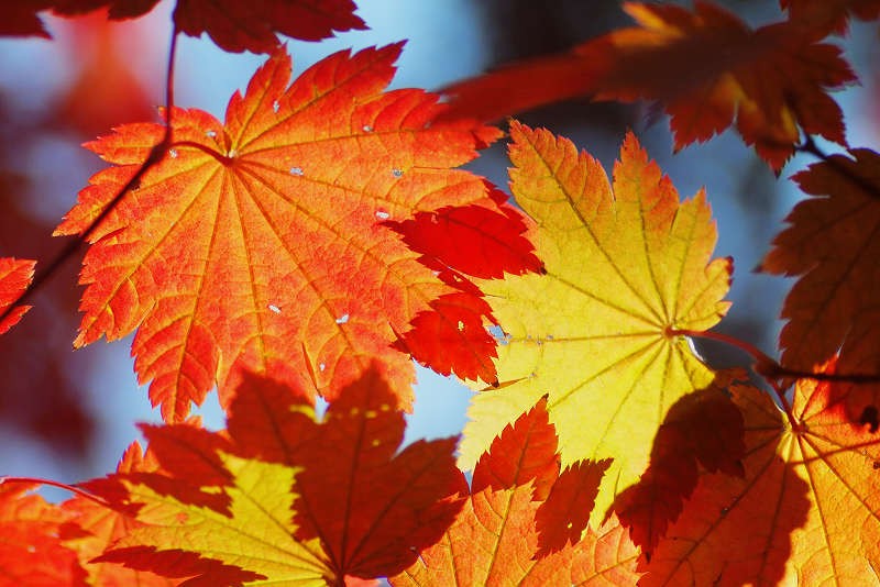 Bản tin thị trường ngày 23/02/2018