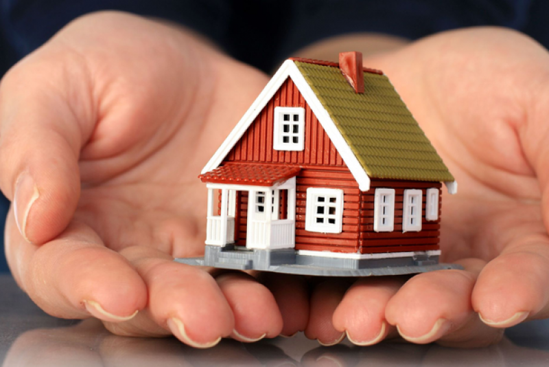 SBT, KDH, BMP, TMS, RIC, APF, NQT, DSC: Thông tin giao dịch lượng lớn cổ phiếu