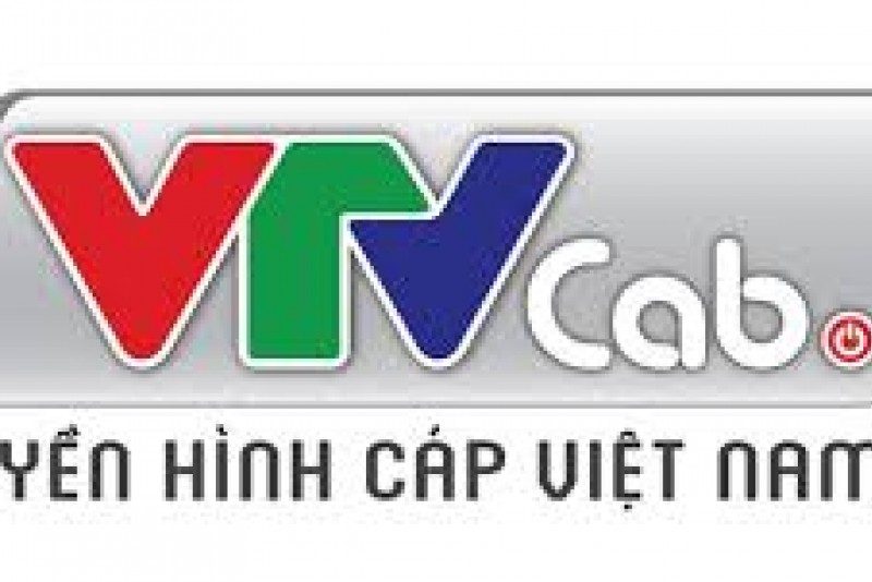 THÔNG BÁO KHÔNG TỔ CHỨC PHIÊN ĐẤU GIÁ BÁN CỔ PHẦN CỦA CÔNG TY TNHH MỘT THÀNH VIÊN TỔNG CÔNG TY TRUYỀN HÌNH CÁP VIỆT NAM