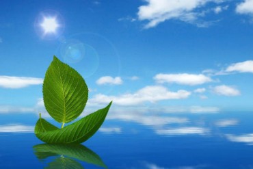 FPT, HSG, VIS, QNS, DIC, TSJ: Thông tin giao dịch lượng lớn cổ phiếu