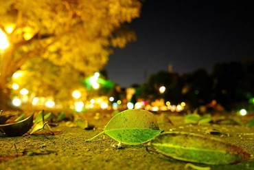 SAB, HBC, MWG, NTC, QNS, SDY, PRO, NHT, DSC, TOT: Thông tin giao dịch lượng lớn cổ phiếu