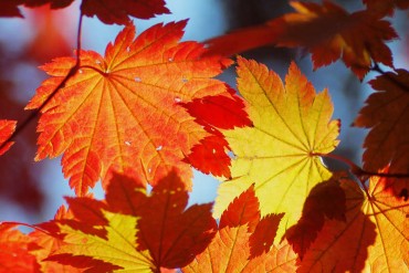 Bản tin thị trường ngày 23/02/2018