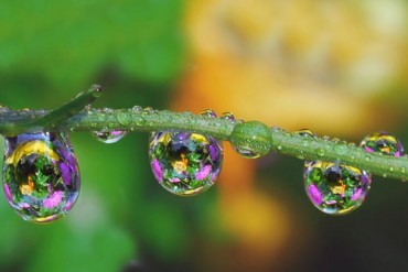 VJC, BMP, PVT, MBB, KSB, GTN, APG, VE9, VND, RIC, SDU, MHL, CTF, CIA, NDN, VPR: Thông tin giao dịch lượng lớn cổ phiếu