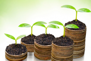 QNS, BVG, MDG, HDG, CIG, PVB, PVC: Thông tin giao dịch lượng lớn cổ phiếu