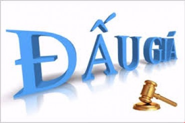 THÔNG BÁO KHÔNG TỔ CHỨC PHIÊN ĐẤU GIÁ BÁN CỔ PHẦN CỦA CỦA CTCP NĂNG LƯỢNG SÔNG HỒNG DO CÔNG TY TNHH MTV - TỔNG CÔNG TY ĐIỆN LỰC DẦU KHÍ VIỆT NAM SỞ HỮU