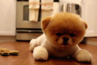 STB, HBC, LDG, ITA, KSA, ACM, SVI, KPF: Thông tin giao dịch lượng lớn cổ phiếu