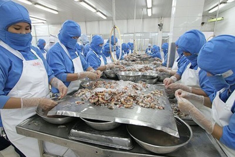 截至11月中旬金瓯省水产品出口额达近9亿美元