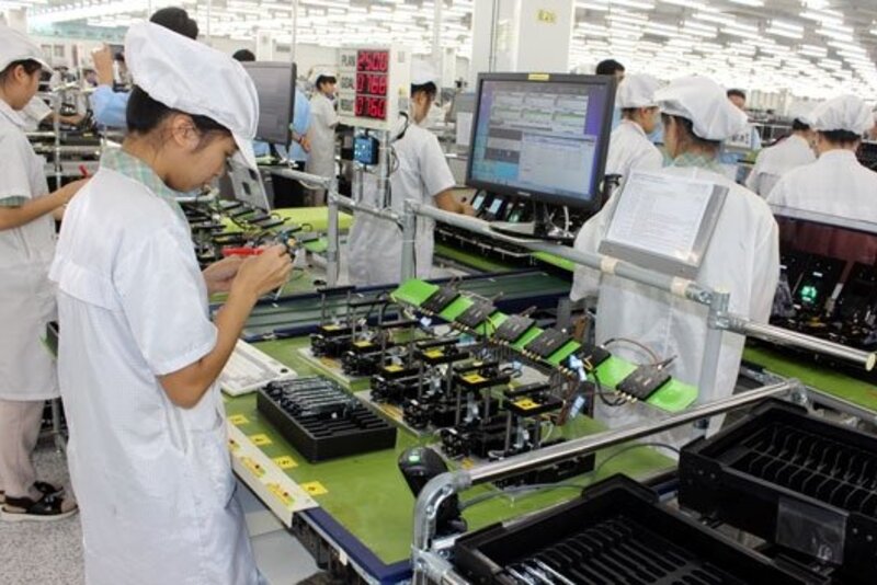 荷兰成为越南企业的潜力出口市场