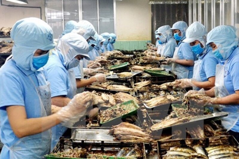 越南前江省出口呈现良好发展势头