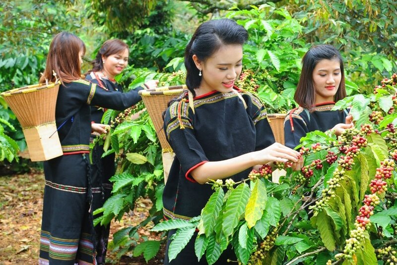 越南西原地区各省出口额创历史新高