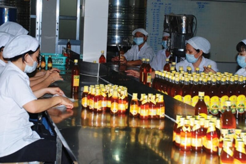 越南努力加大对欧盟的蜂蜜出口力度