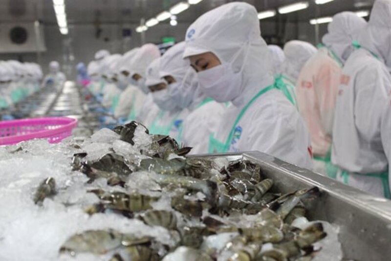 越南对韩国虾类出口增长29.8%