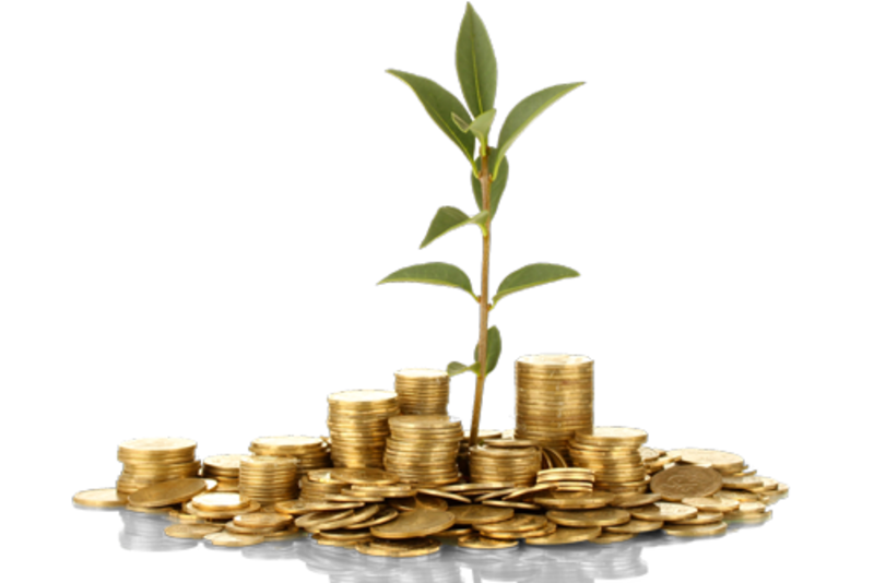 2018年08月21日-除权登记日的信息