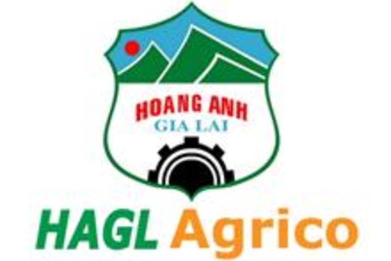 2018年上半年，越南HAGL Agrico出售辣椒的利润达千亿越盾并完成过半年度计划