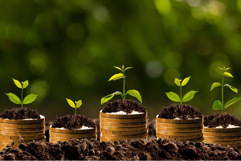 2018年06月26日-除权登记日的信息