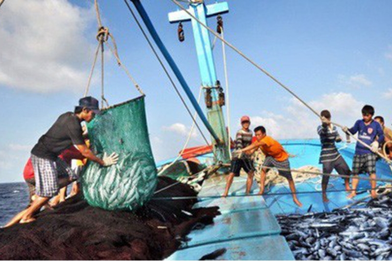 越南加入《港口国措施协定》