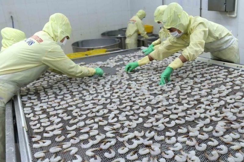 欧盟市场仍保持越南虾类产品最大进口市场地位