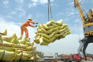 前江省出口额大幅增长