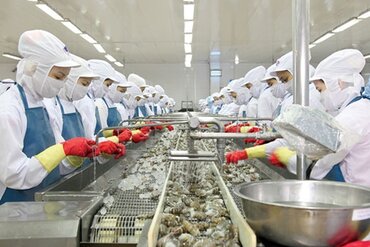 越南力争至2020年水产品出口额达100亿美元