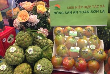 河内市与各地促进商品供给需求对接