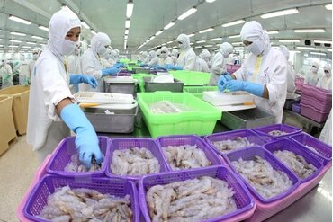 2017年水产出口有望达80亿美元