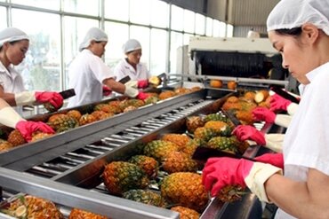 《越南与韩国自由贸易协定》生效后韩国对越南进口的农产品增长34%