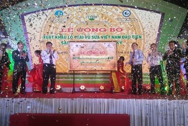 越南前江省公布向美国市场出口首批新鲜金星果