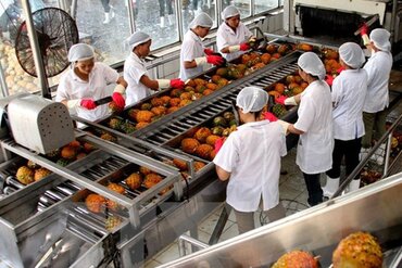 2017年前10个月越南果蔬出口额约达28.4亿美元