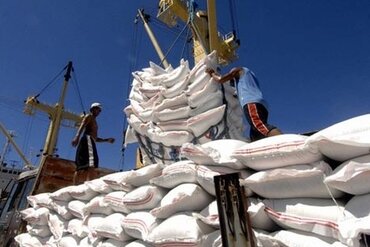 2017年越南与中东地区双边贸易额取得令人瞩目的增长率