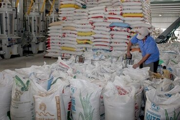 越南大米对新加坡出口前景乐观