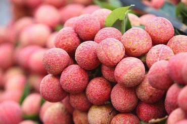 跨国“证、基”携手 共享越南经济发展红利