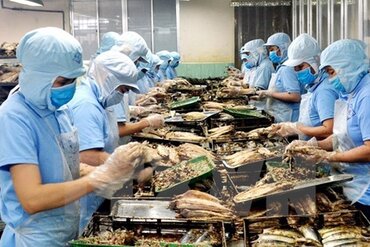 越南前江省出口呈现良好发展势头