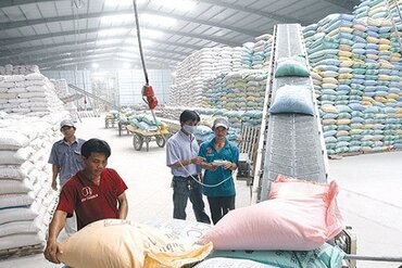 2018年越南大米出口量有望达650万吨