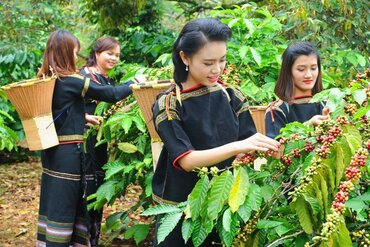 越南西原地区各省出口额创历史新高