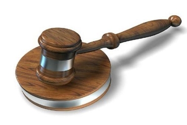 阮文追林业一成员责任有限公司IPO拍卖公告