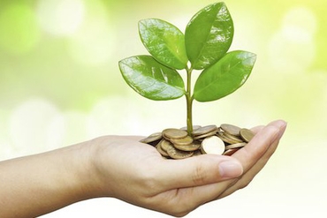 2018年08月23日-除权登记日的信息