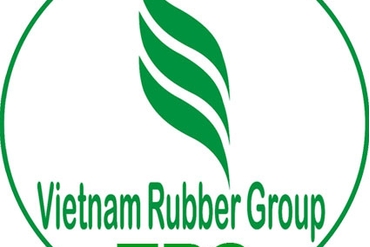 越南西宁橡胶将以23%比例支付现金股息