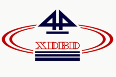 THÔNG BÁO KẾT QUẢ ĐĂNG KÝ MUA CỔ PHẦN CỦA TỔNG CÔNG TY XÂY DỰNG BẠCH ĐẰNG - CTCP