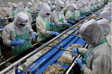 若所有问题得到彻底解决 欧盟将移除对越南的“黄牌”警告