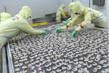 欧盟市场仍保持越南虾类产品最大进口市场地位