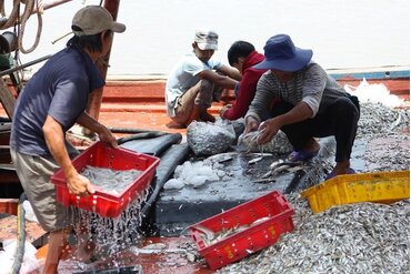 全国水产品捕捞产量喜获丰收