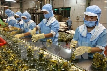 2017年上半年越南向东盟市场出口增长26.7%