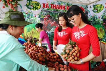 2018年越南海阳省荔枝出口产量达1千吨