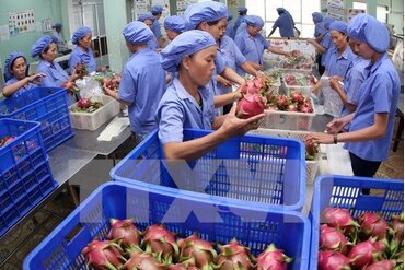 自4月1日起对中国广西出口的越南水果产品要有可追溯性