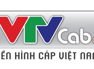 越南共天线电视总公司有限责任公司IPO的拍卖公告