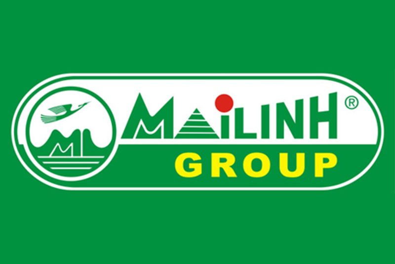 越南梅玲出租车公司“脱皮”发展成为注册资本近1730万亿越盾的梅玲集团