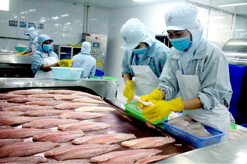 越南查鱼加工出口业迎来新机遇