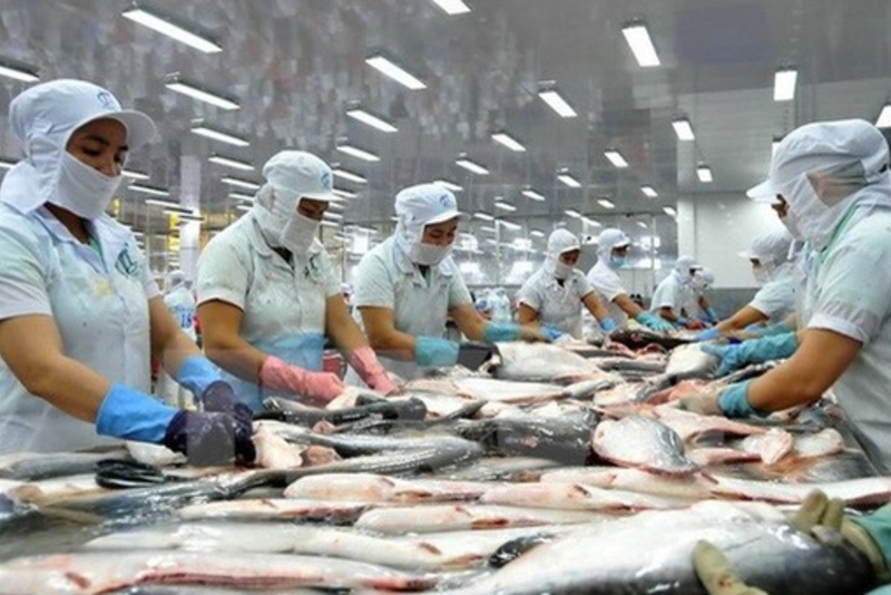 越南对中国查鱼出口保持两位数增长率