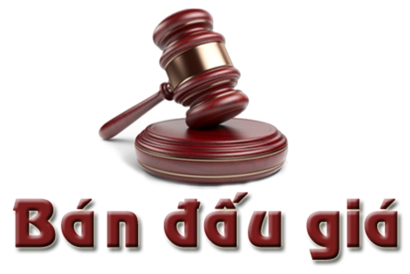 THÔNG BÁO KẾT QUẢ ĐĂNG KÝ ĐẤU GIÁ THEO LÔ CHUYỂN NHƯỢNG VỐN  CỦA CÔNG TY CỔ PHẦN THỐNG NHẤT HÀ NỘI  TẠI CÔNG TY CỔ PHẦN ĐỊA ỐC VIHA